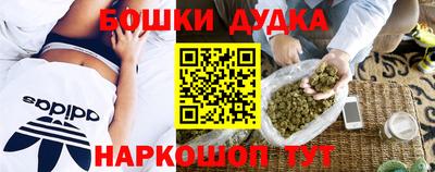 соль ск Будённовск