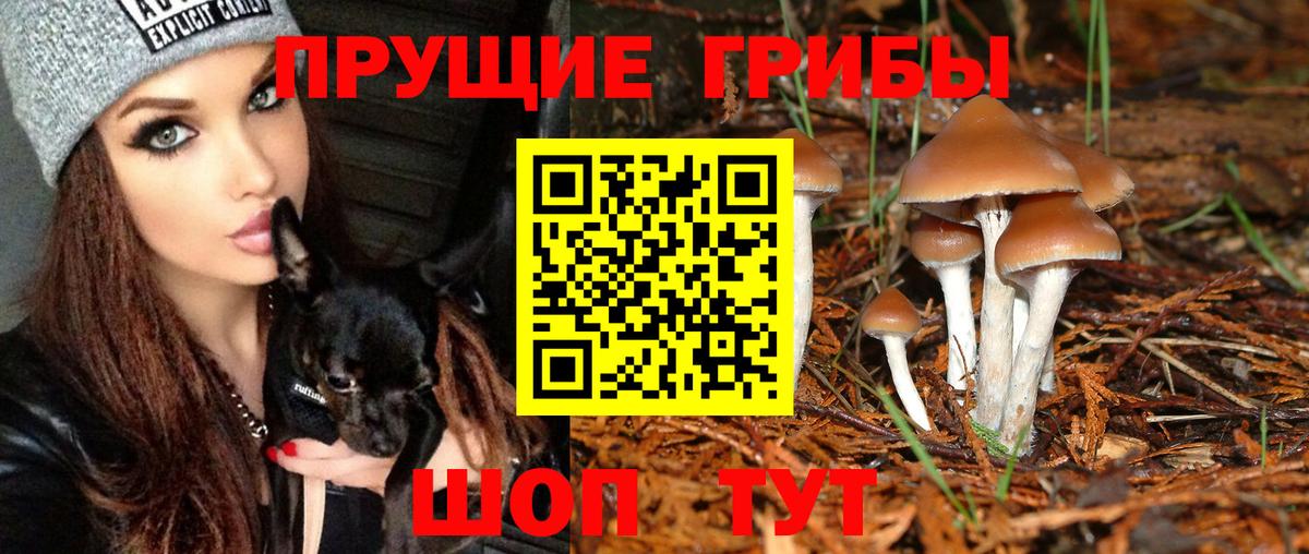 Кунгур  Галлюциногенные грибы мицелий  Вход с VPN 