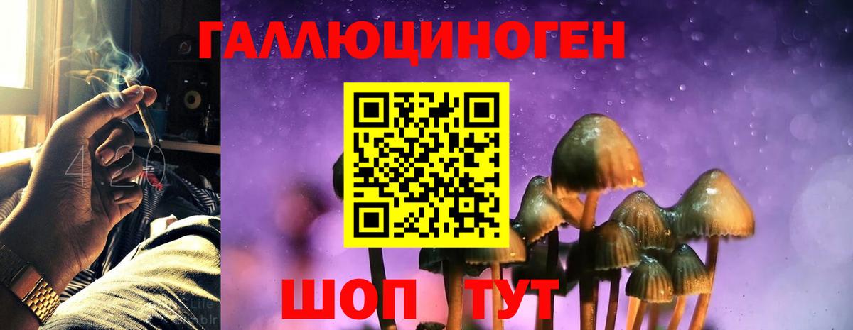 Галлюциногенные грибы GOLDEN TEACHER Кунгур
